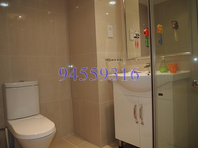 The Balmoral (D10), Condominium #155475762